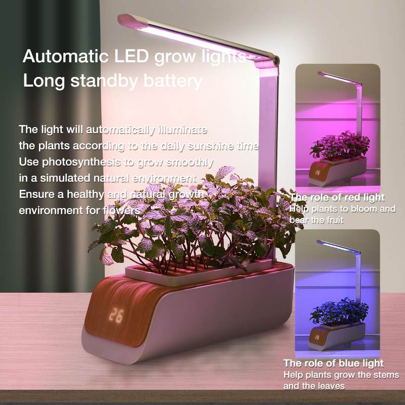 Indoor Herb Garden Hydroponic Kit 12-Pod – Smart LED Grow Light, Auto Ti... — View 3