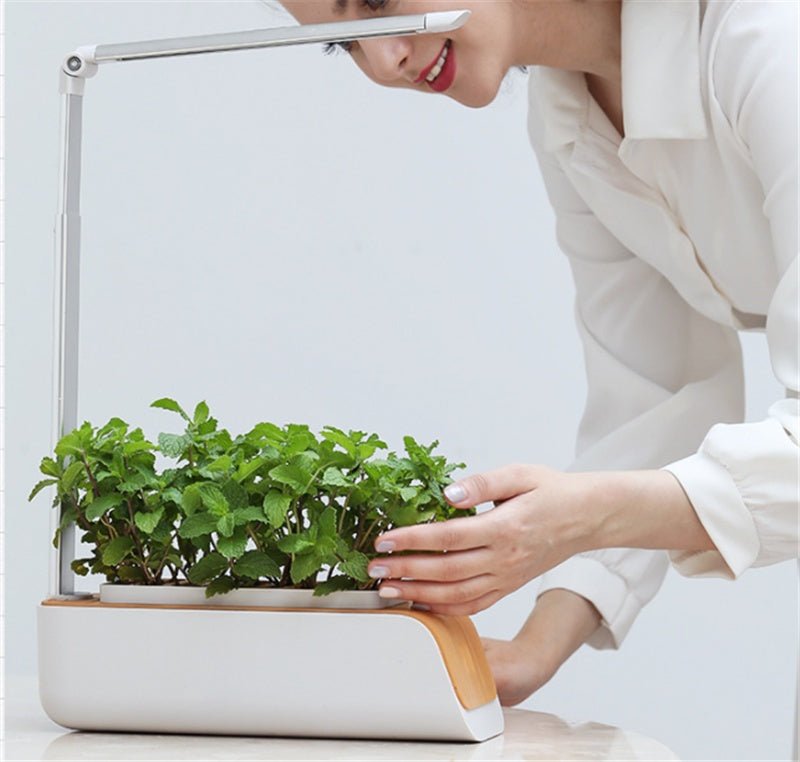 Indoor Herb Garden Hydroponic Kit 12-Pod – Smart LED Grow Light, Auto Ti... — View 5