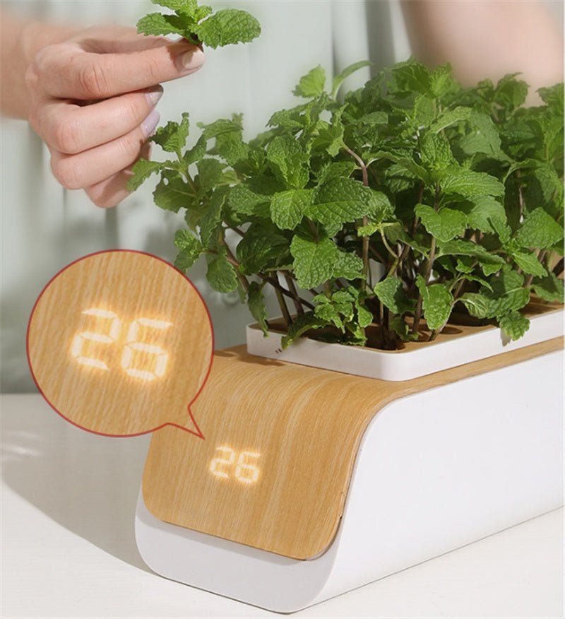 Indoor Herb Garden Hydroponic Kit 12-Pod – Smart LED Grow Light, Auto Ti... — Gift Idea