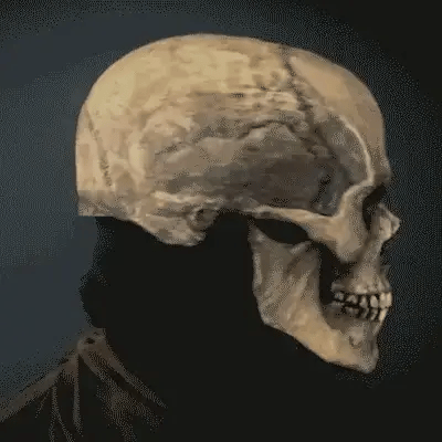 Halloween Movable Jaw Realistic Skull Mask - Best Full Head Latex Cospla... — View 2