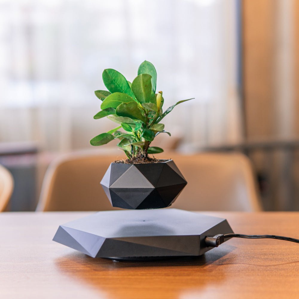 Magnetic Levitating Plant Pot – Floating 360° Rotating Bonsai Planter Succulent Home Decor Gift - GiftWave.co