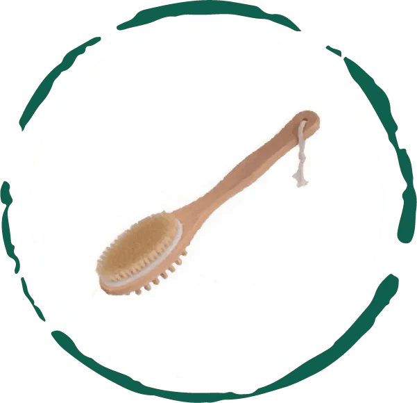 Bath & Body Massage Brush – Long Handle Exfoliating Back Scrubber, Wet &... — View 4