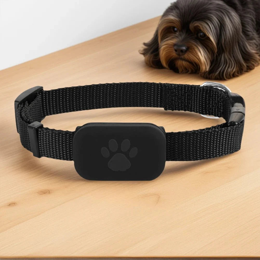 Pet GPS Tracker Adjustable Collar Dog Cat Real - Time Locator No Subscription No SIM 365 - Day Battery - GiftWave.co