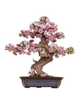 Rolife™ Eternal Bonsai Series | 3D Wooden Sakura & Evergreen Pine Puzzle Kit - GiftWave.co