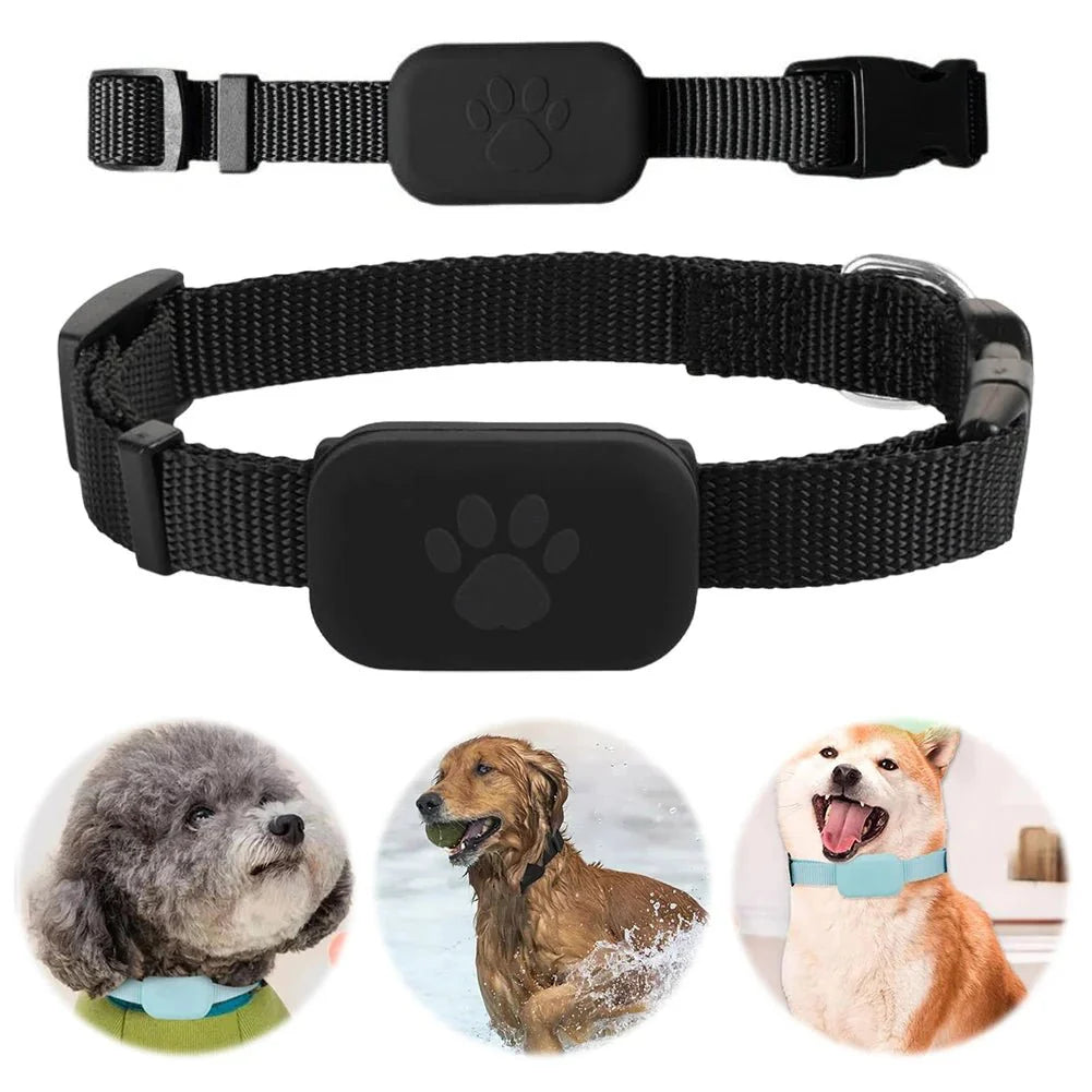 Pet GPS Tracker Adjustable Collar Dog Cat Real - Time Locator No Subscription No SIM 365 - Day Battery - GiftWave.co