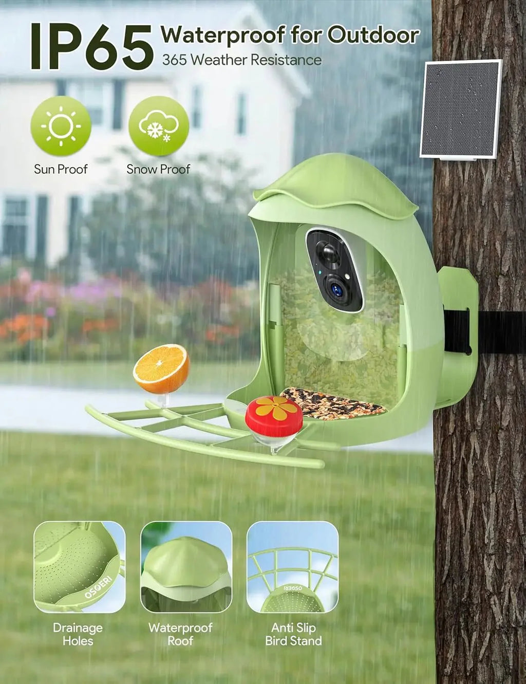 Smart Bird Feeder with Camera Solar Powered — 2K HD AI Bird ID, Wi-Fi, M... — View 5