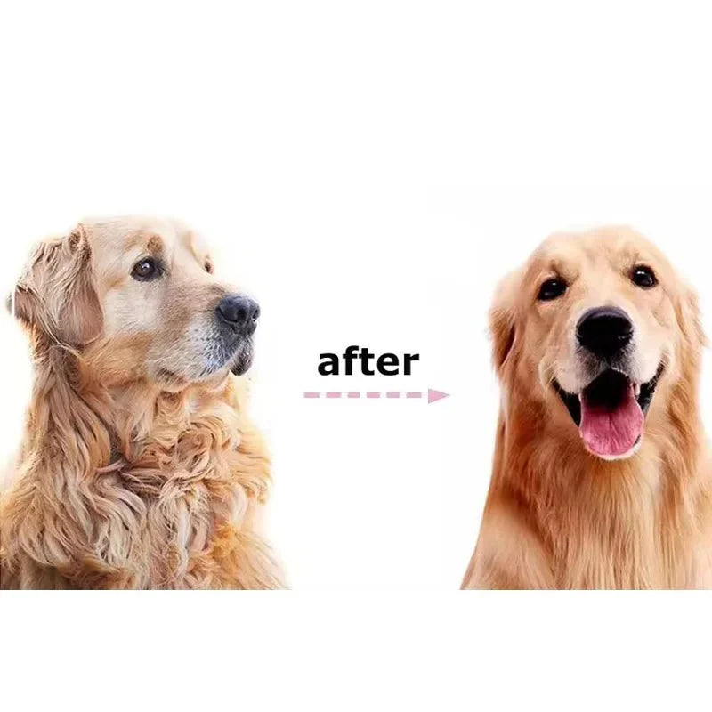 Professional 2 - Sided Pet Grooming Brush – The Ultimate 2 - in - 1 Undercoat Solution - GiftWave.co