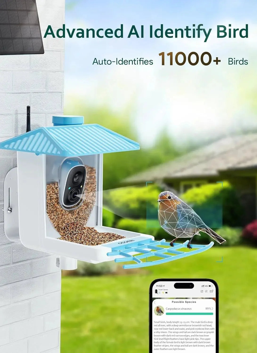 Smart Solar Bird Feeder with AI Camera HD WiFi Bird Watching Feeder Real... — View 3