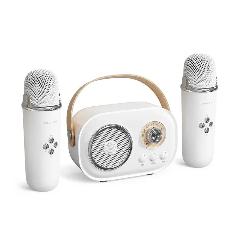 EchoVibe: Bluetooth Karaoke Speaker | TF Card, FM Radio, HiFi Bass, Hands-Free Calls - Damsona
