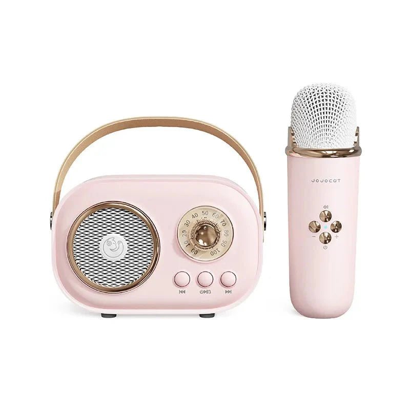 EchoVibe: Bluetooth Karaoke Speaker | TF Card, FM Radio, HiFi Bass, Hands-Free Calls - Damsona
