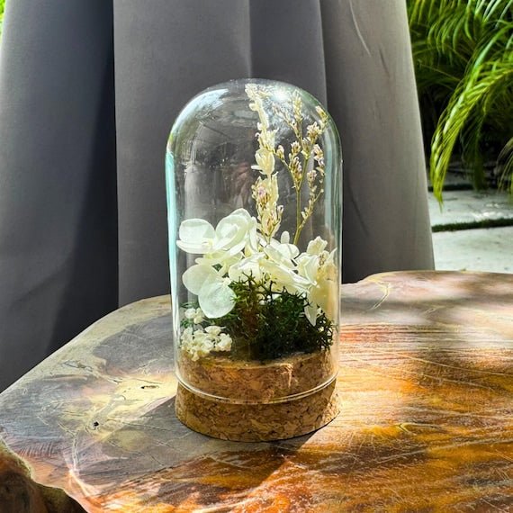 Preserved Moss Terrarium in Glass Dome — Low-Maintenance Botanical Decor with Wooden Base - Damsona