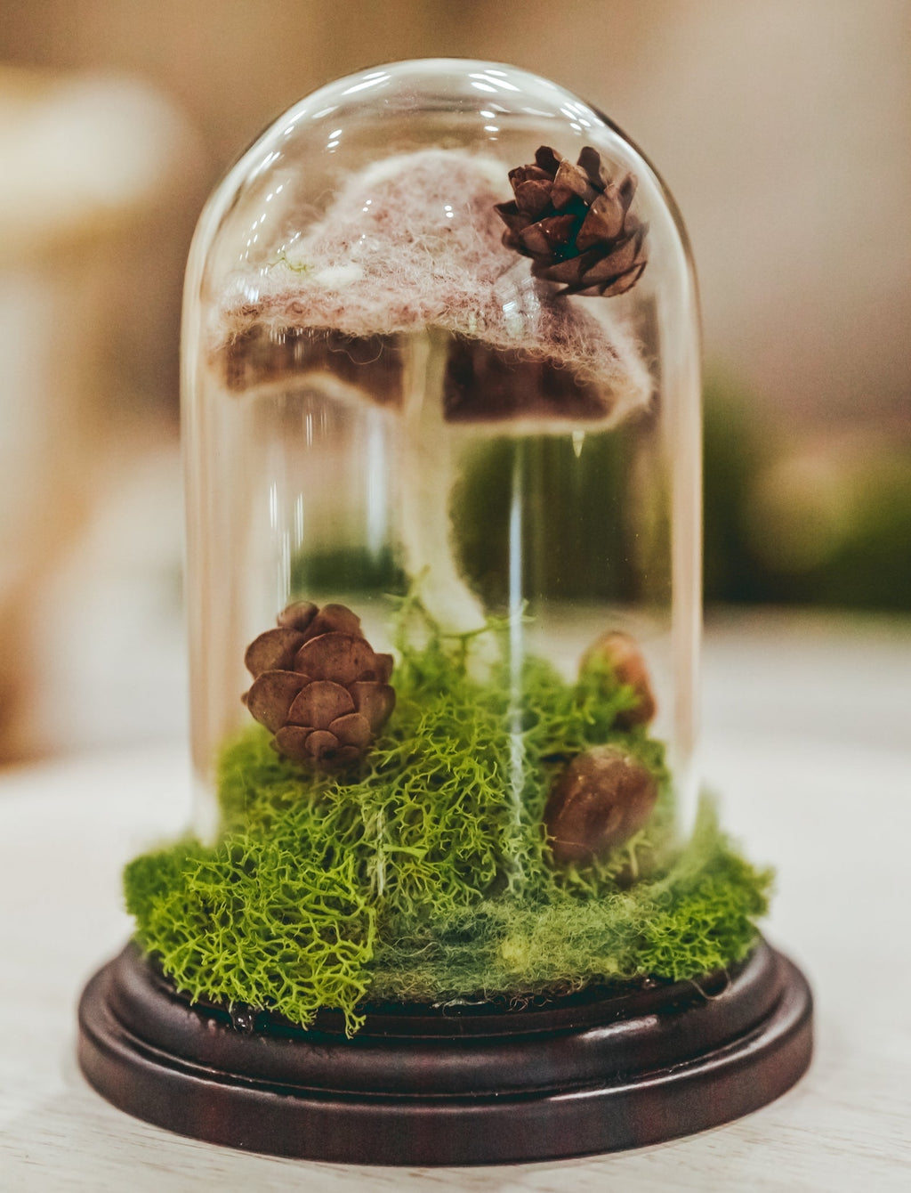 Preserved Moss Terrarium in Glass Dome — Low-Maintenance Botanical Decor with Wooden Base - Damsona
