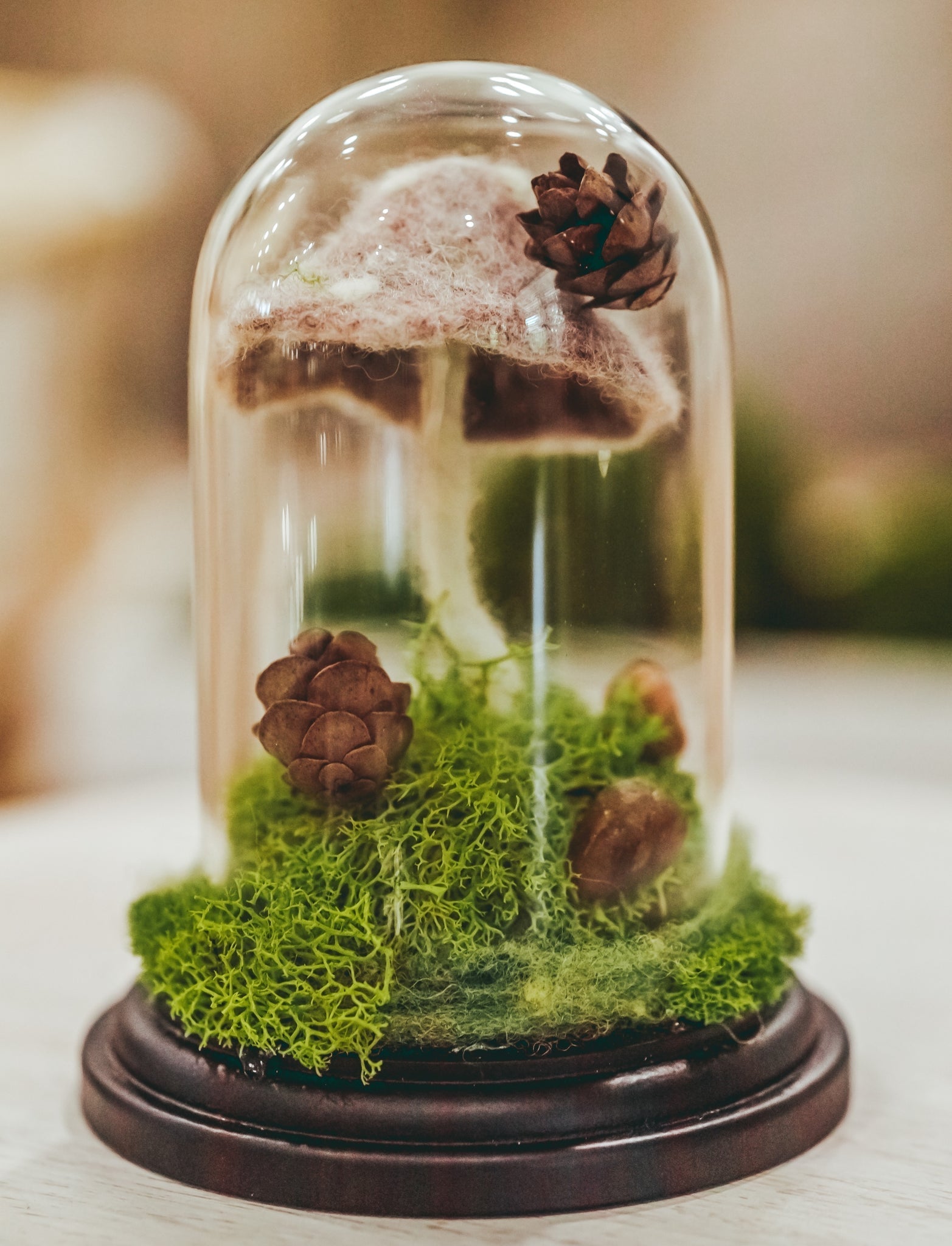 Preserved Moss Terrarium in Glass Dome — Low-Maintenance Botanical Decor with Wooden Base - Damsona