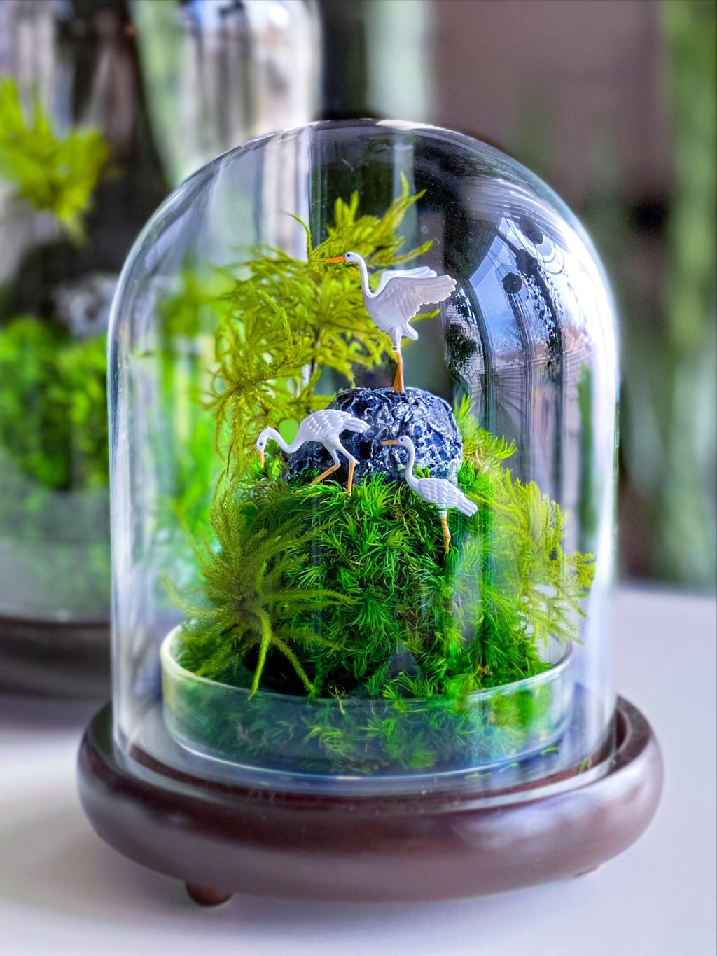 Preserved Moss Terrarium in Glass Dome — Low-Maintenance Botanical Decor with Wooden Base - Damsona