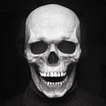 Movable Jaw Realistic Skull Mask - Best Full Head Halloween Latex Mask for Cosplay - GiftWave.co