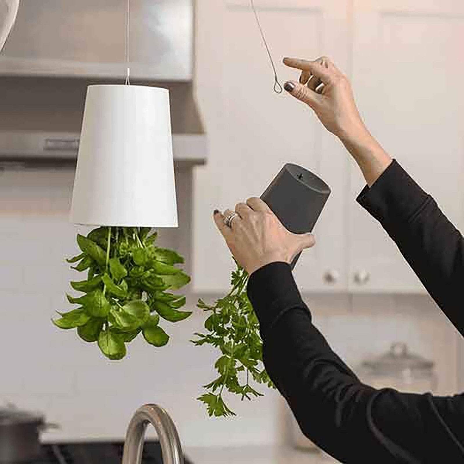 Sky Garden - Upside - Down Plant Flower Pot Hanging Planter - GiftWave.co