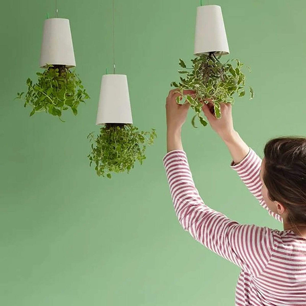 Sky Garden - Upside - Down Plant Flower Pot Hanging Planter - GiftWave.co