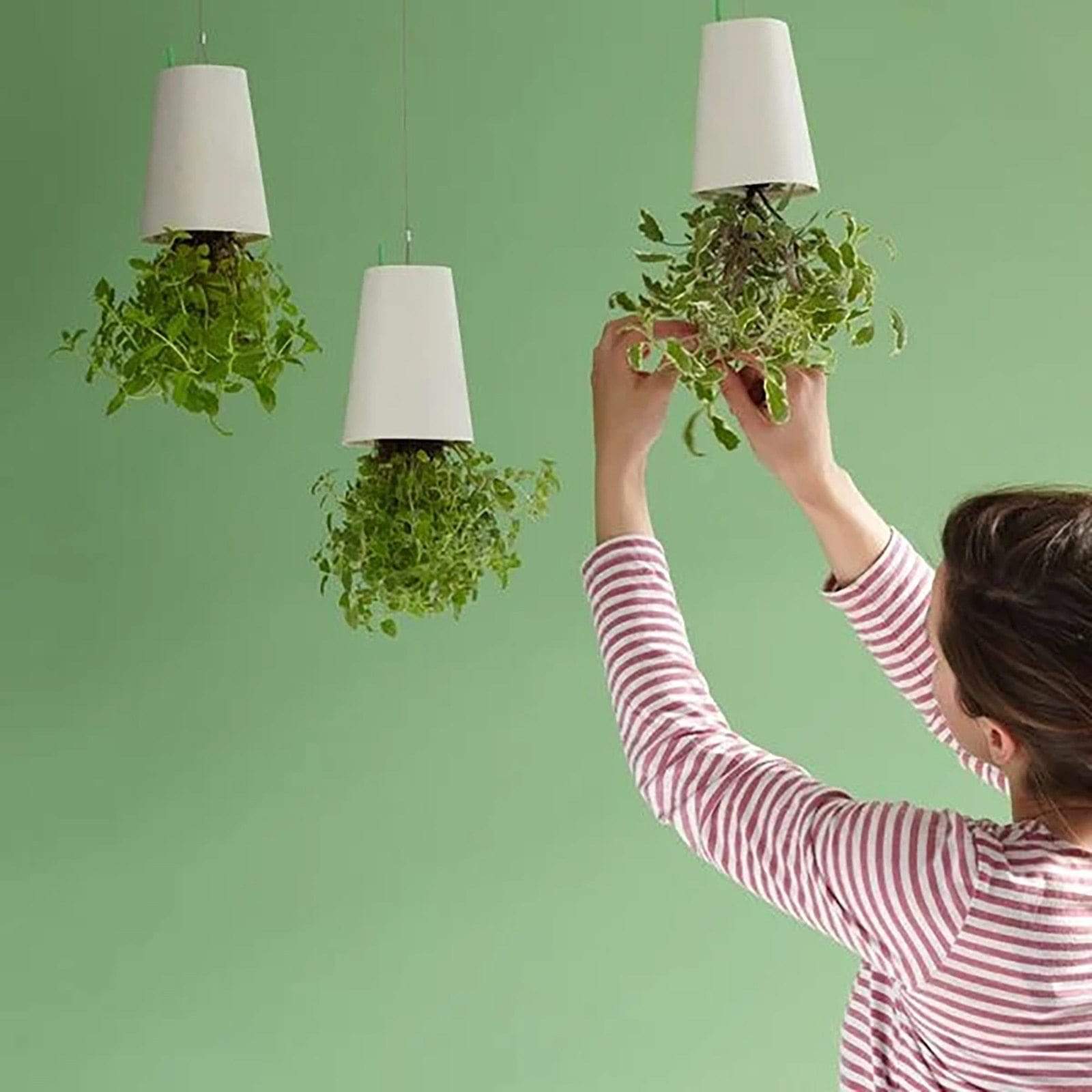 Sky Garden - Upside - Down Plant Flower Pot Hanging Planter - GiftWave.co