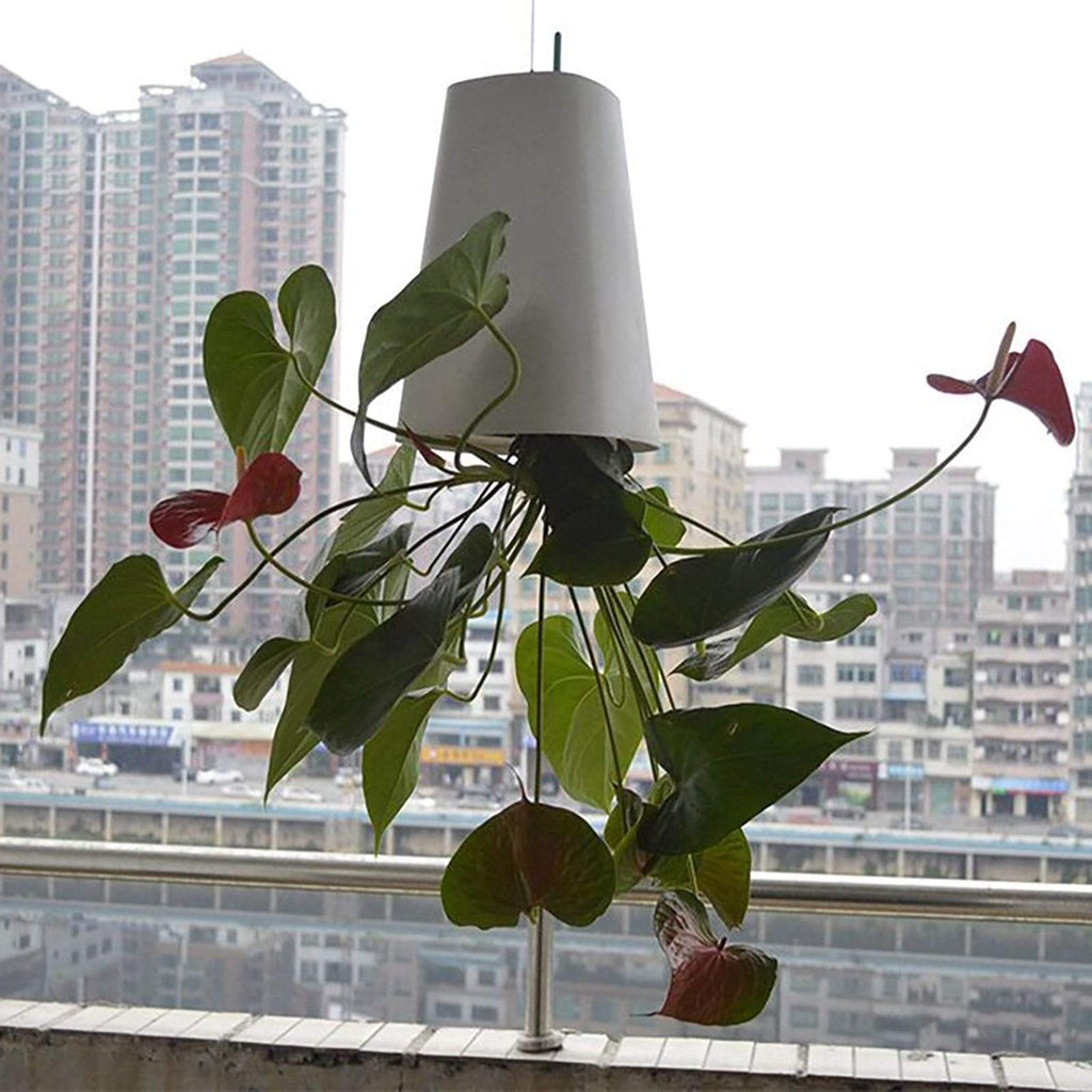 Sky Garden - Upside - Down Plant Flower Pot Hanging Planter - GiftWave.co