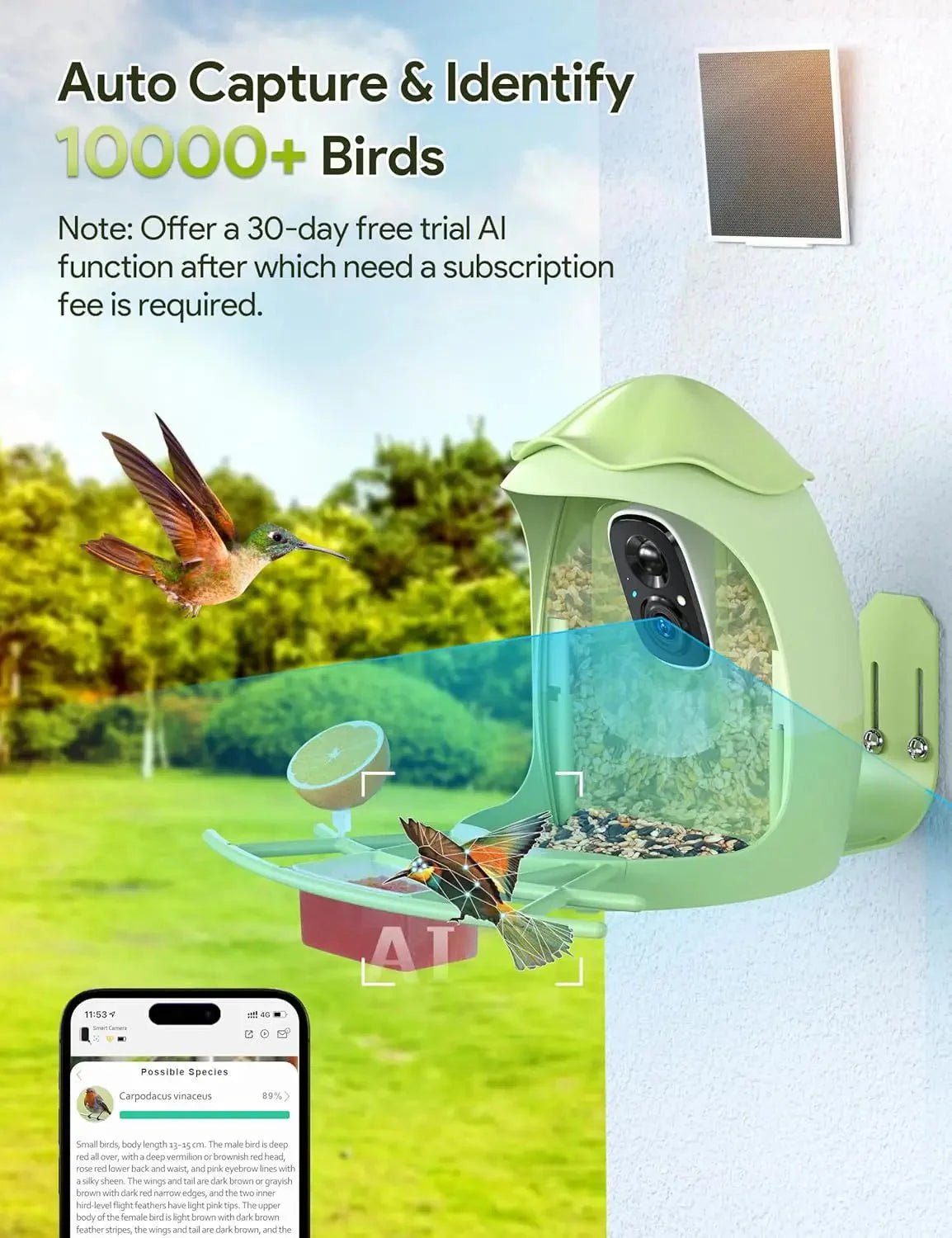 Smart Bird Feeder with Camera Solar Powered — 2K HD AI Bird ID, Wi-Fi, Motion Alerts, Weatherproof - Damsona