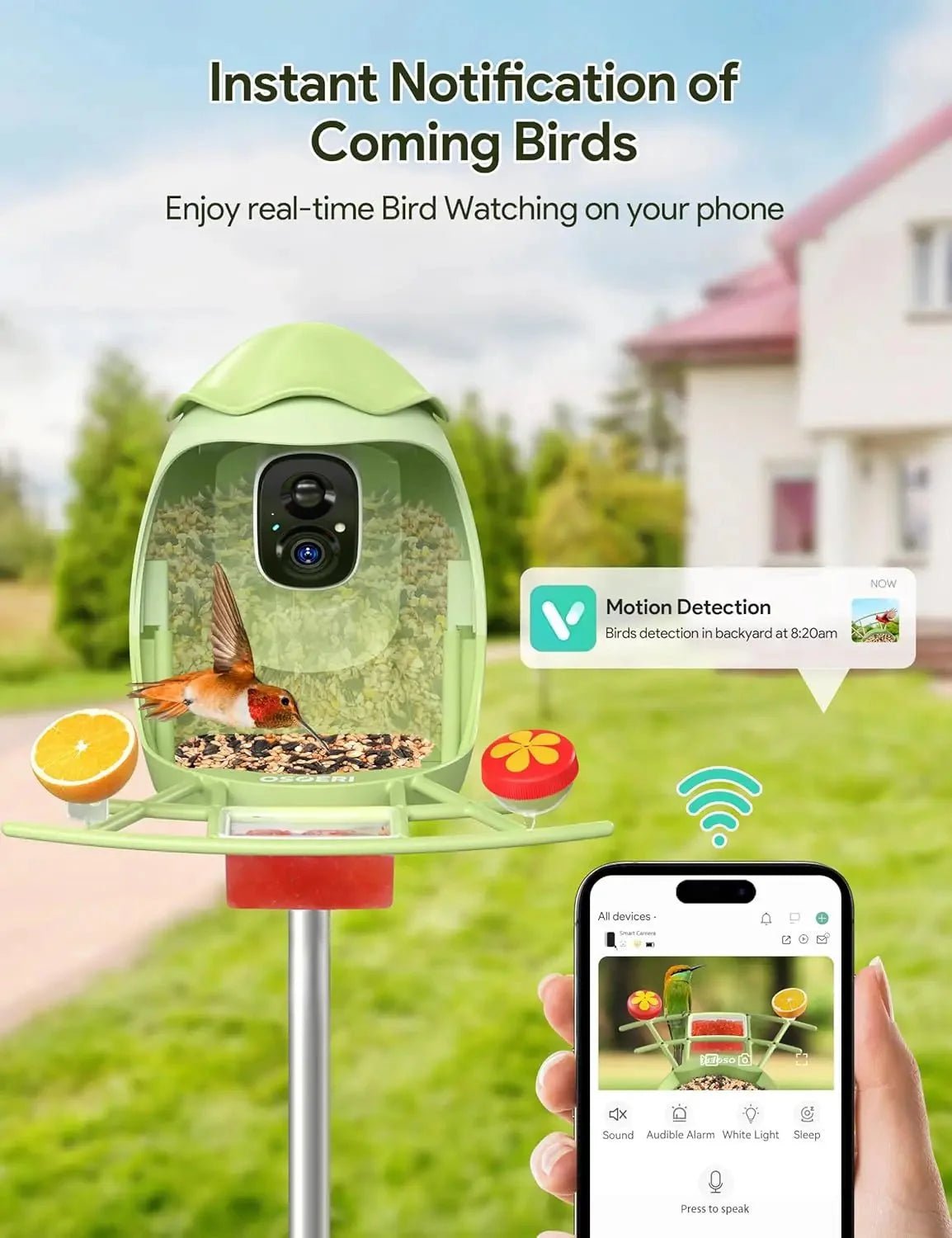 Smart Bird Feeder with Camera Solar Powered — 2K HD AI Bird ID, Wi-Fi, Motion Alerts, Weatherproof - Damsona