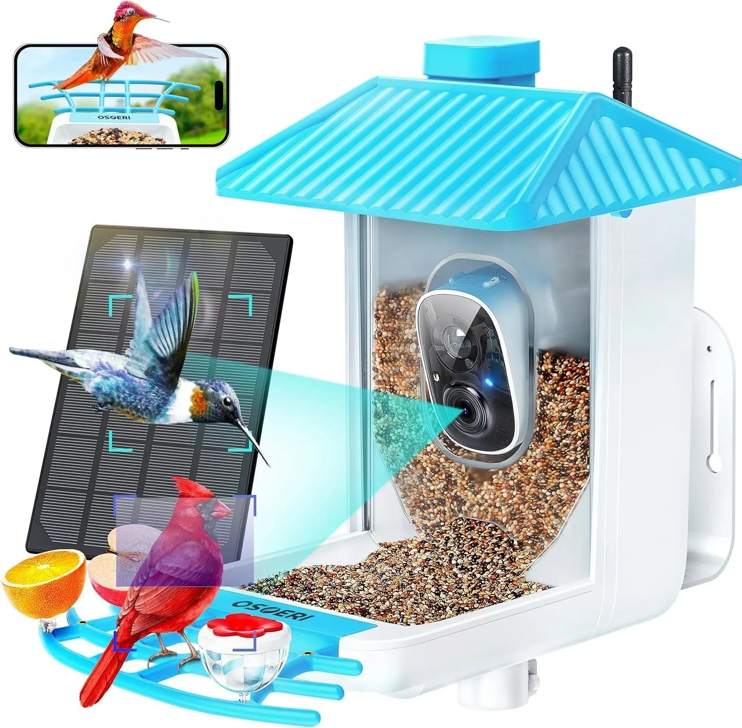Smart Solar Bird Feeder with AI Camera 1080P HD WiFi Bird Watching Feeder Real-Time Alerts Outdoor - Damsona