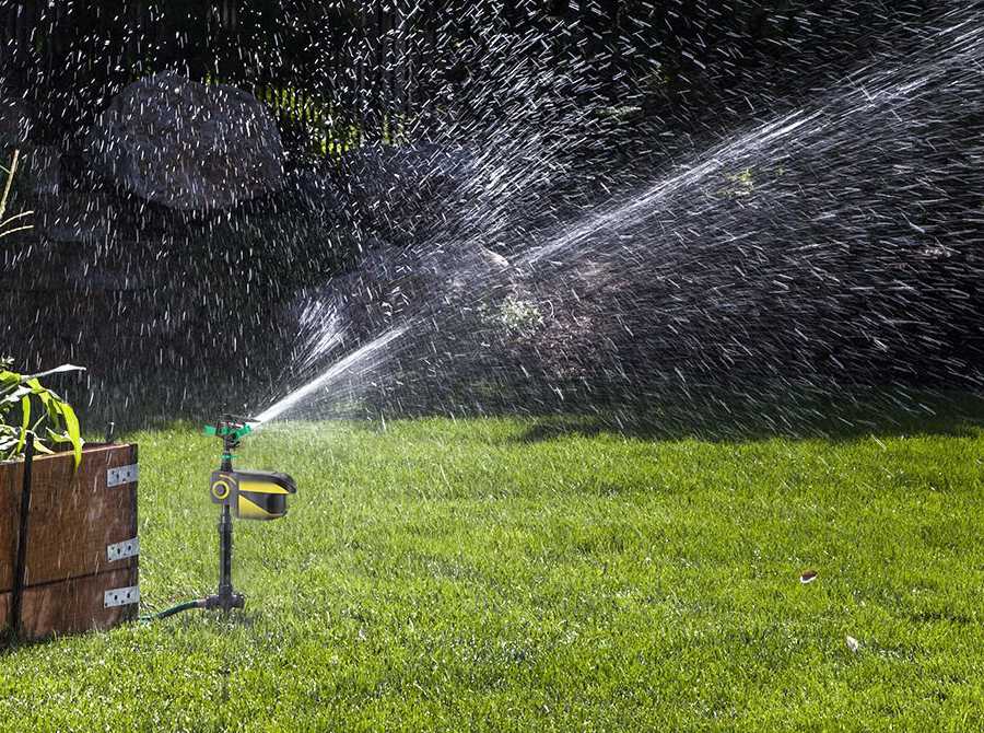 Solar - Powered Motion - Activated Animal Repellent | Humanely Guard Your Garden - GiftWave.co