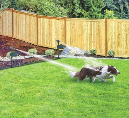 Solar - Powered Motion - Activated Animal Repellent | Humanely Guard Your Garden - GiftWave.co