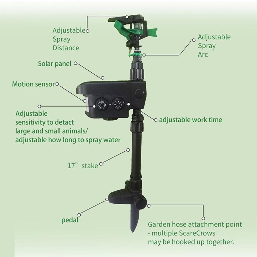 Solar - Powered Motion - Activated Animal Repellent | Humanely Guard Your Garden - GiftWave.co